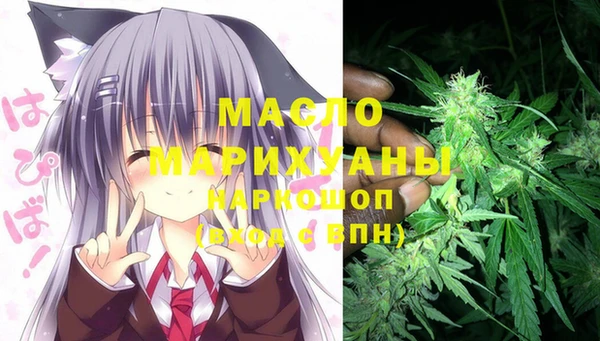сатива Арсеньев
