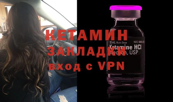 индика Михайловск