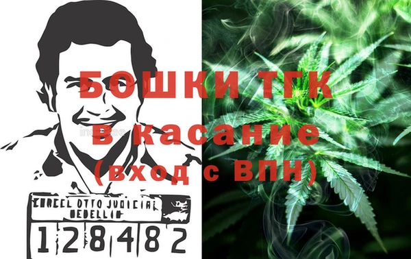 сатива Арсеньев