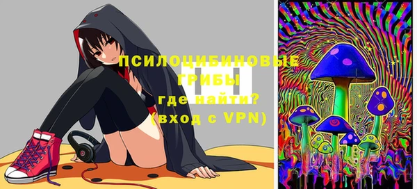 сатива Арсеньев
