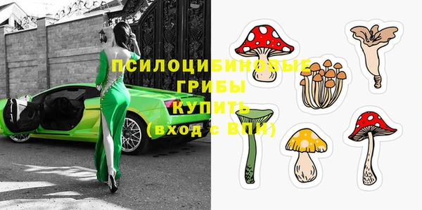 индика Михайловск