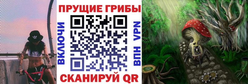 сколько стоит  ссылка на мегу   Псилоцибиновые грибы прущие грибы  Ессентуки 