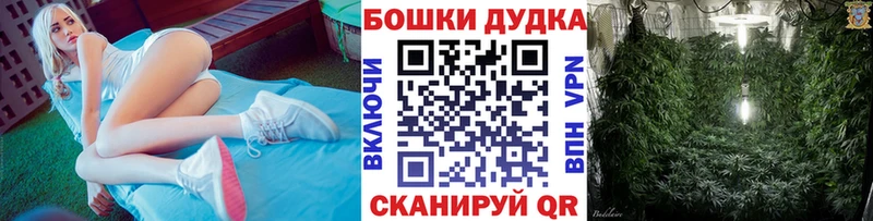 Каннабис марихуана  Ессентуки 